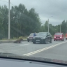 В Ярославле утром водитель иномарки сбил лося