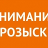 В Белгородском районе ищут пропавшего подростка