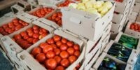 В Астраханской области готовятся к рекордному урожаю риса