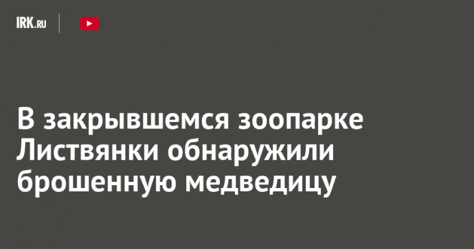 В закрывшемся зоопарке Листвянки обнаружили брошенную медведицу