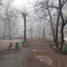 На Благовещенск опустился туман