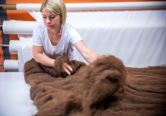 В СФ предложили разработать единые стандарты для продукции из шерсти В СФ предложили разработать единые стандарты для продукции из шерсти