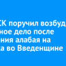 Глава СК поручил возбудить уголовное дело после нападения алабая на ребенка во Введенщине