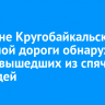 В районе Кругобайкальской железной дороги обнаружили следы вышедших из спячки медведей