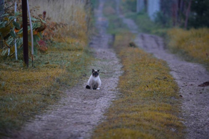 ​Метеорологи рассказали о средней температуре воздуха в ноябре в Пермском крае