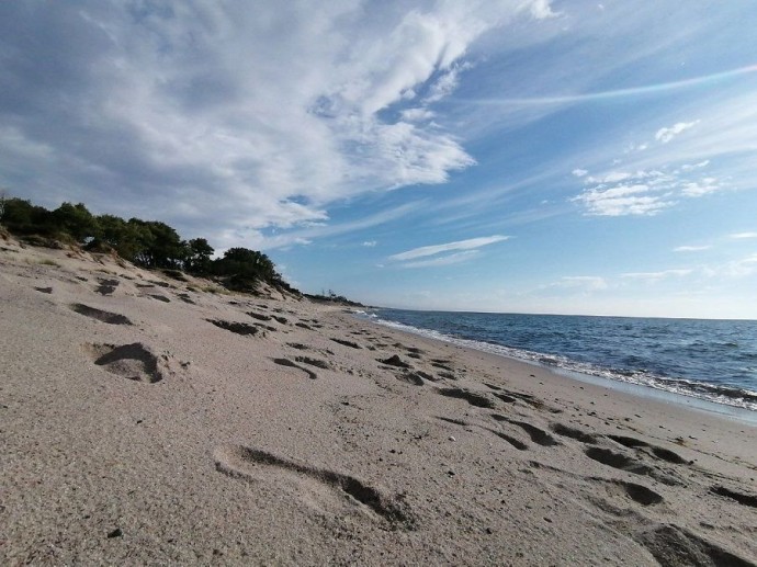 Сбер и «Чистые игры» открывают во Владивостоке марафон «Сберегаем пляжи вместе»