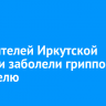 311 жителей Иркутской области заболели гриппом за неделю