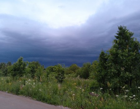Жара и ливни: прогноз погоды на ближайшие дни