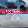 Росгвардия усилит меры безопасности в Курской области на майские праздники...