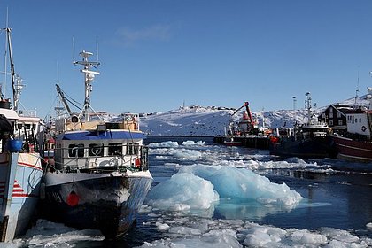 В Дании объяснили Рубио позицию королевства по вопросу Гренландии