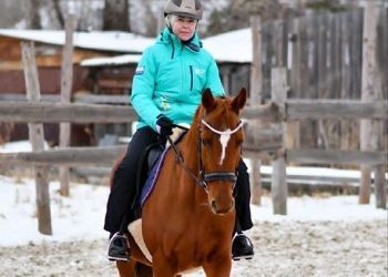 Лошадь редкой для Приамурья породы помогает восстанавливаться детям с ОВЗ