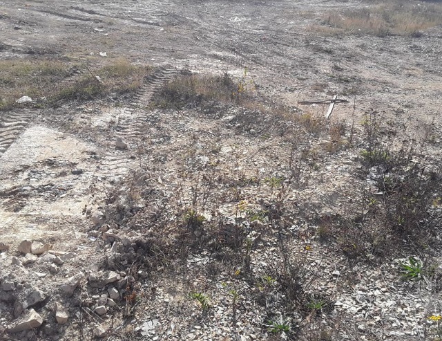 В Мордовии убрали свалку площадью 2130 кв. м. В Мордовии убрали свалку площадью 2130 кв. м.