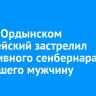 В Усть-Ордынском полицейский застрелил агрессивного сенбернара, укусившего мужчину