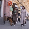 Тула – Pet-friendly. Проверено тульскими ВЕСТЯМИ