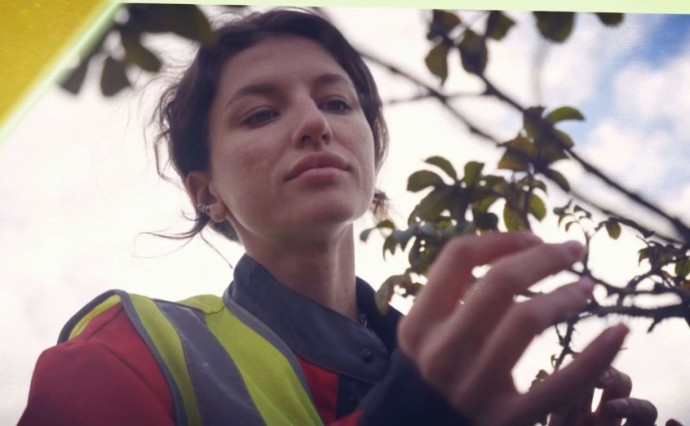 "Здесь будет зелено": ВГК сняла фильм о лесовосстановлении в Углегорском и Смирныховском районах