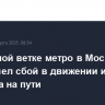 На зеленой ветке метро в Москве произошел сбой в движении из-за человека на пути