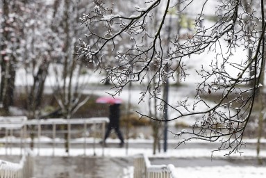 Вечером в Москве ожидается мокрый снег и гололедица