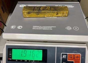 В Приамурье попросили заменить наказание китайцу за контрабанду золота В Приамурье попросили заменить наказание китайцу за контрабанду золота