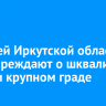Жителей Иркутской области предупреждают о шквалистом ветре и крупном граде