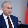 Вячеслав Володин: планируем в мае выйти на принятие федерального закона о расширении перечня оснований для выдворения мигрантов