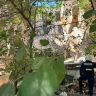 Стало известно, есть ли пострадавшие при обрушении жилого дома в Астрахани