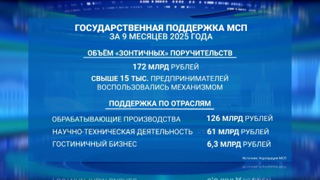 Малый и средний бизнес за девять месяцев 2025 года привлёк 686 млрд рублей через льготное кредитование и гарантии