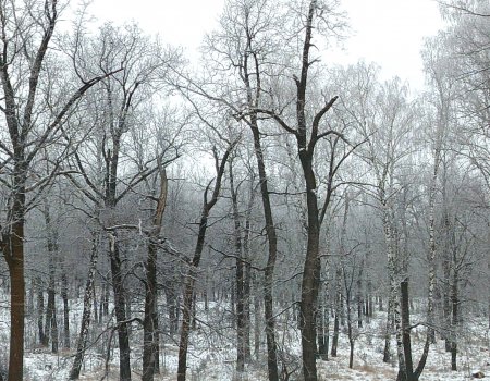 В Башкирии ожидается ледяной дождь