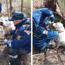 В Ярославле спасли сбежавшего из дома алабая
