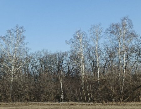 В Башкирию возвращается 20-градусная весна