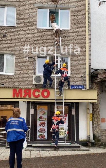 В Уфе спасатели пришли на помощь повисшей на карнизе девушке В Уфе спасатели пришли на помощь повисшей на карнизе девушке