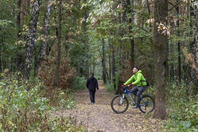 Синоптик Ильин: Ночью 27 и 28 сентября в Подмосковье похолодает до +1 градуса Синоптик Ильин: Ночью 27 и 28 сентября в Подмосковье похолодает до +1 градуса