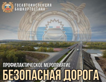 Главный госавтоинспектор Башкирии обратился к водителям с важным заявлением