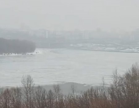 За последние сутки уровень воды в реке Белой в Уфе поднялся почти на метр
