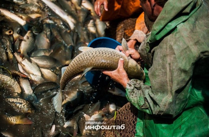 Сеть астраханских магазинов «Светофор» признана виновной в нарушении техрегламента Сеть астраханских магазинов «Светофор» признана виновной в нарушении техрегламента