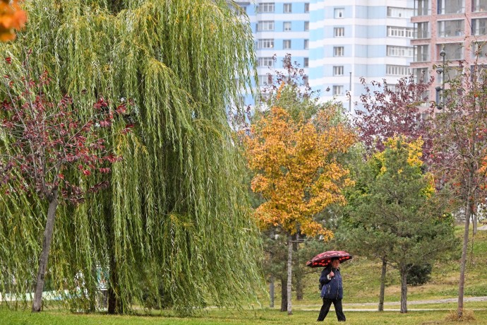В Москве ожидаются облачная погода и до 8 градусов тепла В Москве ожидаются облачная погода и до 8 градусов тепла