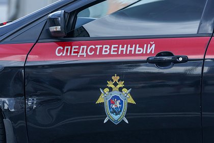 Российский пенсионер спас внука от напавшей на него с ножом дочери
