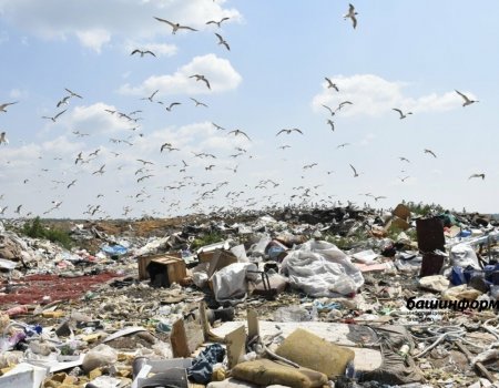 В Башкирии более 47% отходов отправлены на переработку В Башкирии более 47% отходов отправлены на переработку