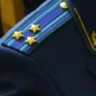 В Мордовии суд взыскал компенсацию в пользу ребенка, которого укусила бездомная собака