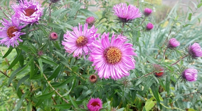 Погода в Башкирии приготовила приятный сюрприз Погода в Башкирии приготовила приятный сюрприз