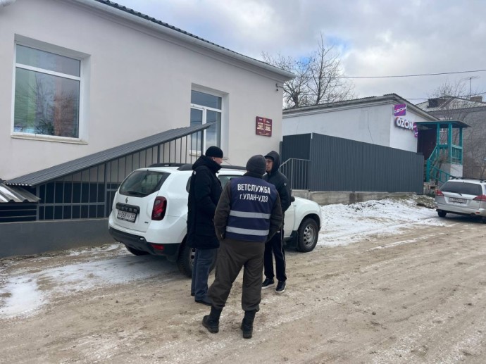 В Улан-Удэ провели «собачий» рейд