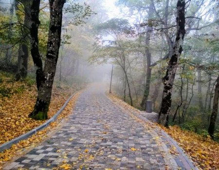 В конце октября в Башкирии ожидаются дожди В конце октября в Башкирии ожидаются дожди