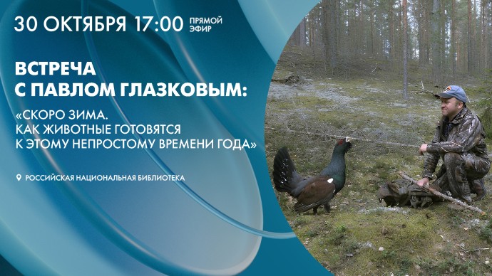Павел Глазков расскажет о том, как животные готовятся к зиме. Смотрите онлайн-трансляцию прямо сейчас