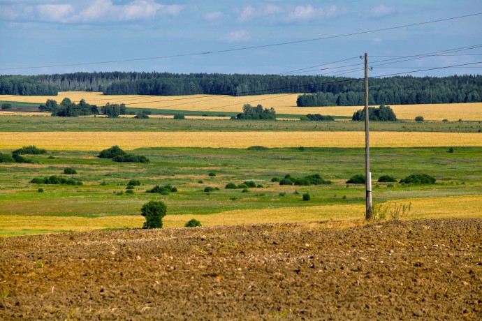 Сальдо призвал решить вопрос с подставными владельцами сельхозземель