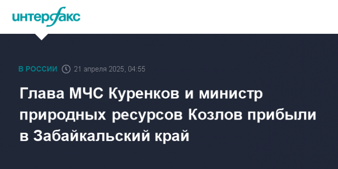 Глава МЧС Куренков и министр природных ресурсов Козлов прибыли в Забайкальский край
