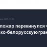 Лесной пожар перекинулся через украинско-белорусскую границу