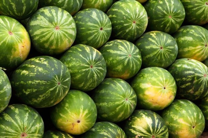 Жители Приморья купили арбуз из Азербайджана и обомлели