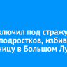 Суд заключил под стражу двоих подростков, избивших школьницу в Большом Луге