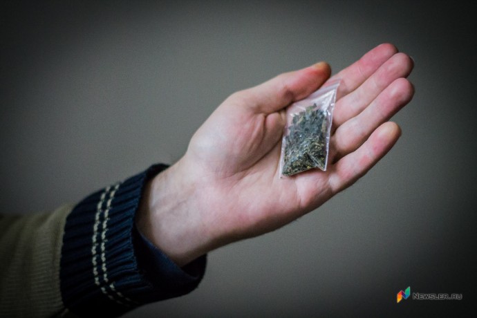 Жителя Тужинского района осудили за хранение дикорастущей конопли Жителя Тужинского района осудили за хранение дикорастущей конопли