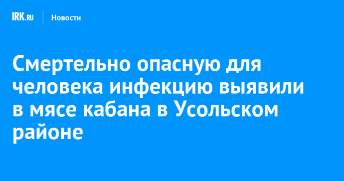 Смертельно опасную для человека инфекцию выявили в мясе кабана в Усольском районе