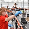 Первое в России роботизированное производство орхидей открылось в Ярославской области